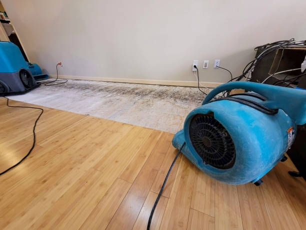 Professional Ceiling Water Damage Repair technician working in Morton, MS